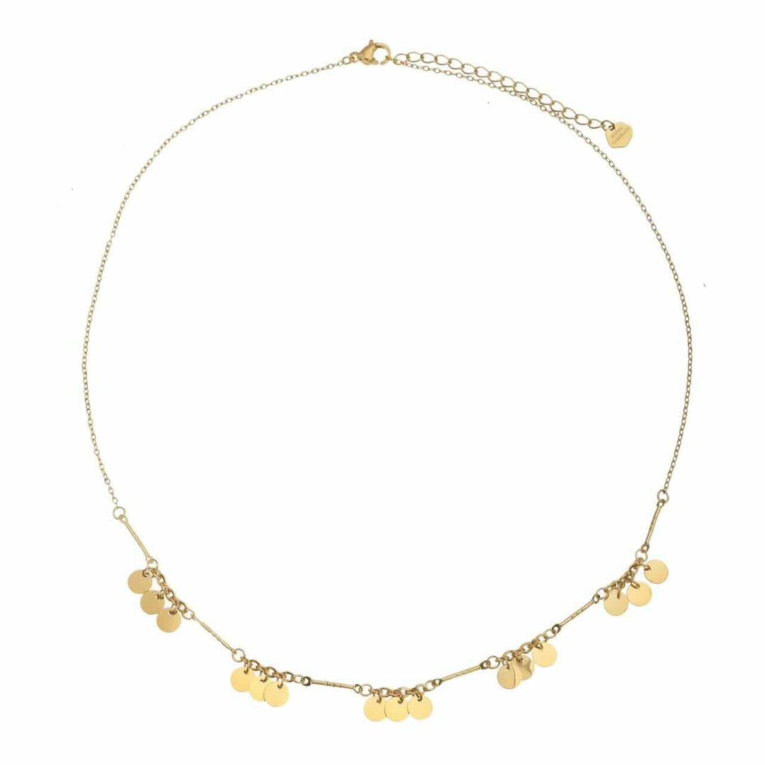 rose & camellia ketting lovely coins