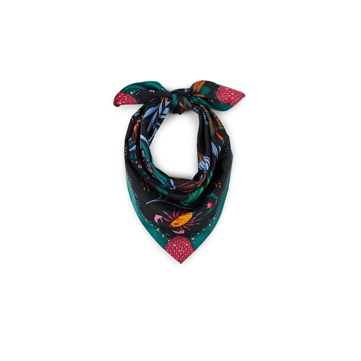wild paris herborium noir mini