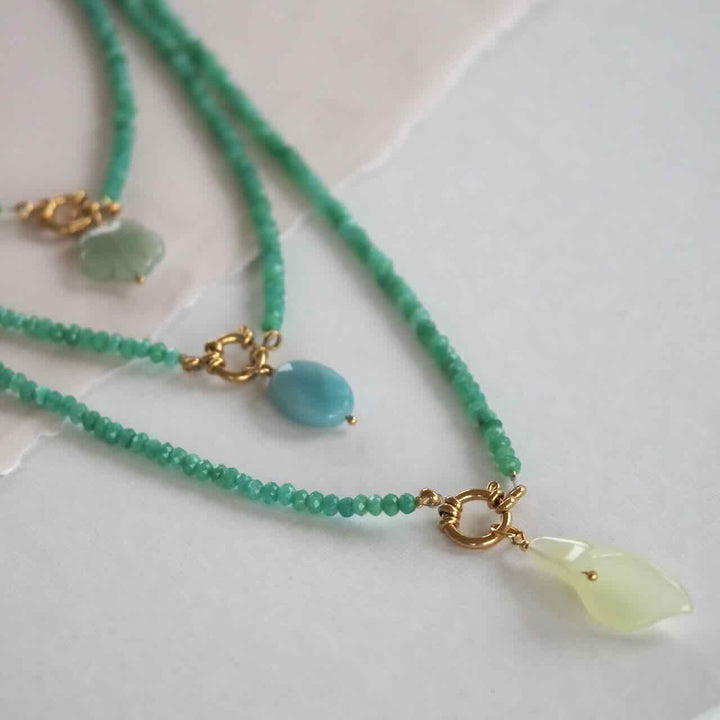 widaro bedel yellow flower