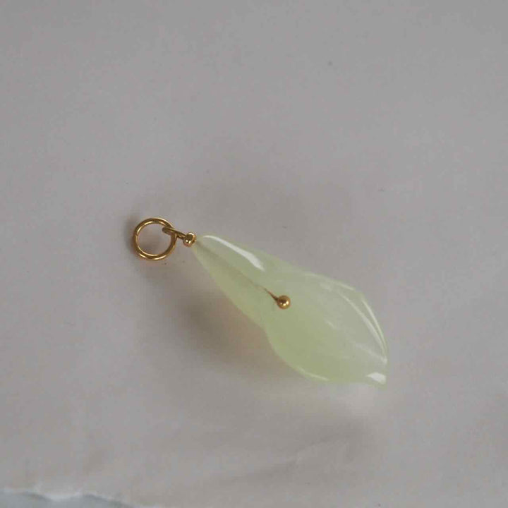 widaro bedel yellow flower