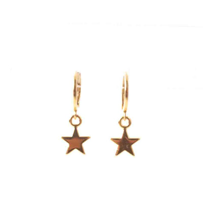 widaro oorbellen golden stars
